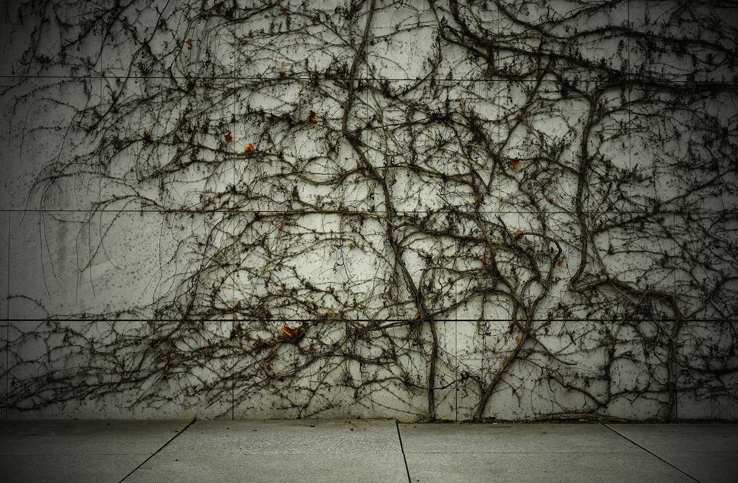 „What Does Your Soul Look Like?“ 2019