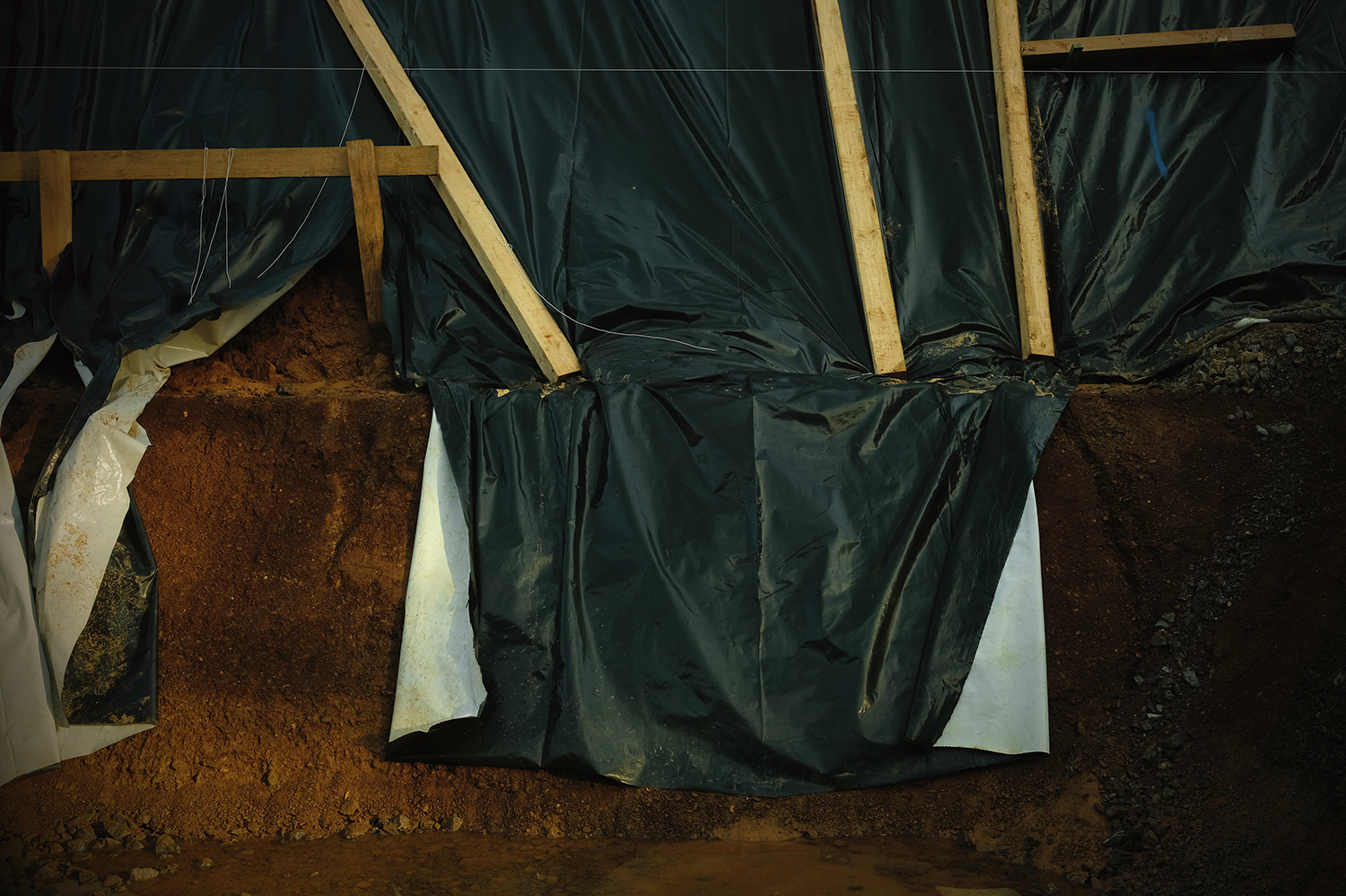 „The Kids Are Alright“. 2019