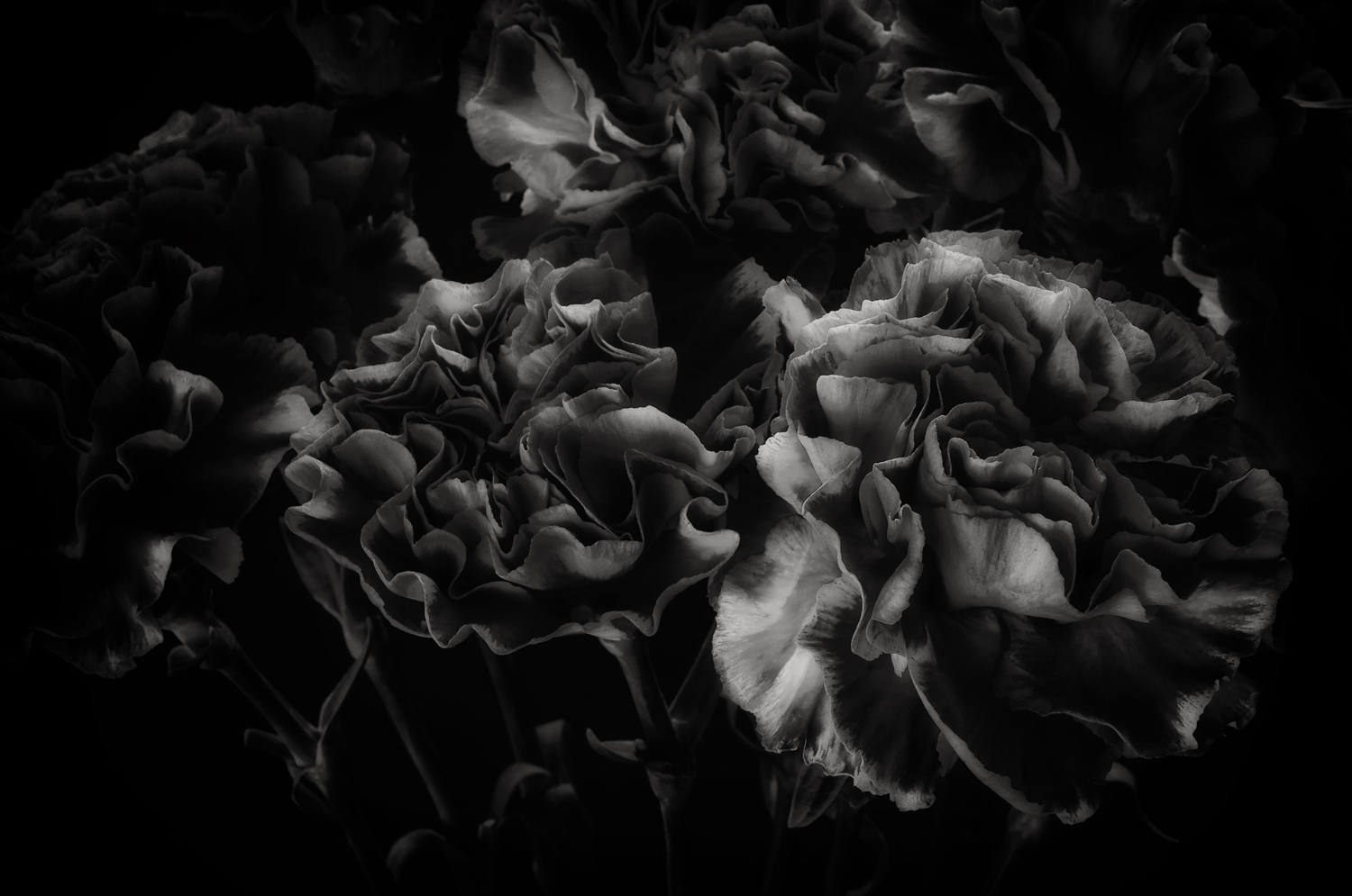 „Happy till the end of time“. 2019