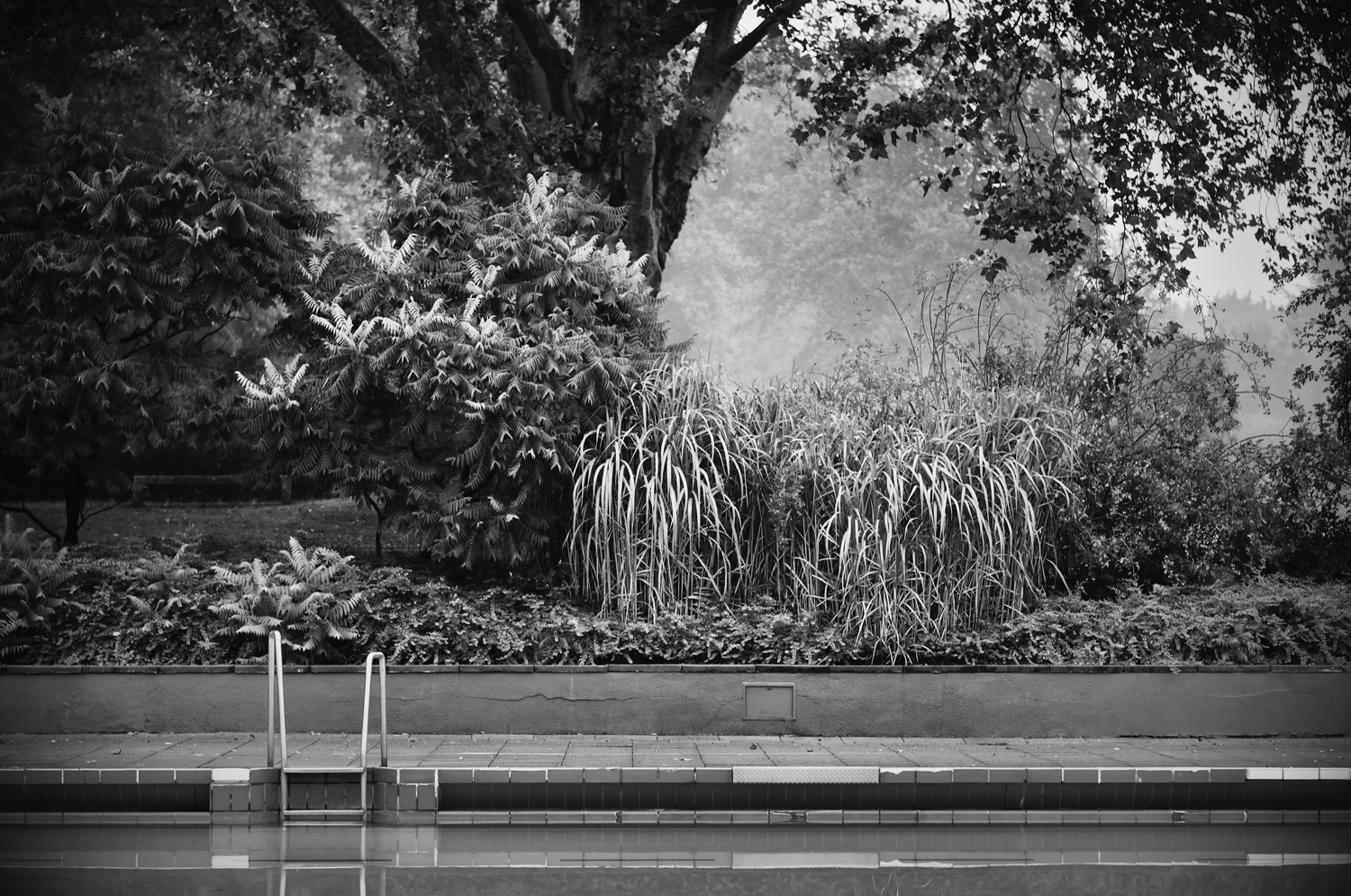 „American Dream (pt. 2)“ / II. 2019